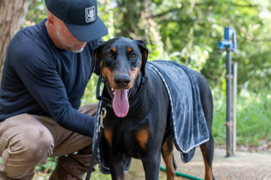 16" x 24" Gray Devil Dog Premium Pet Drying Towel