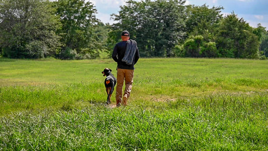 24" x 35" Gray Devil Dog Premium Pet Drying Towel