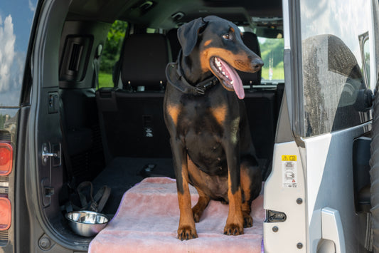 24" x 35" Pink Devil Dog Premium Pet Drying Towel