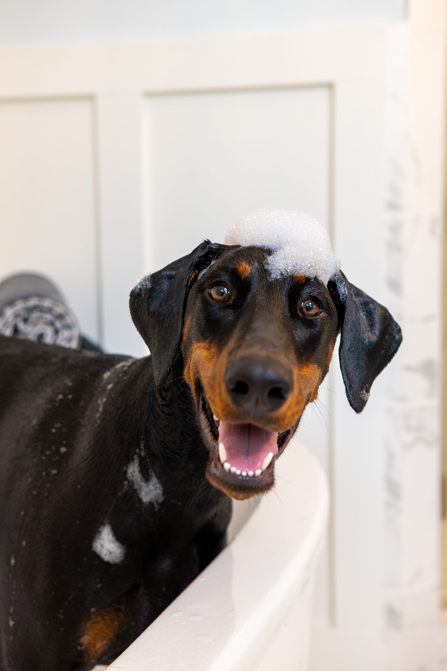 16" x 24" Gray Devil Dog Premium Pet Drying Towel