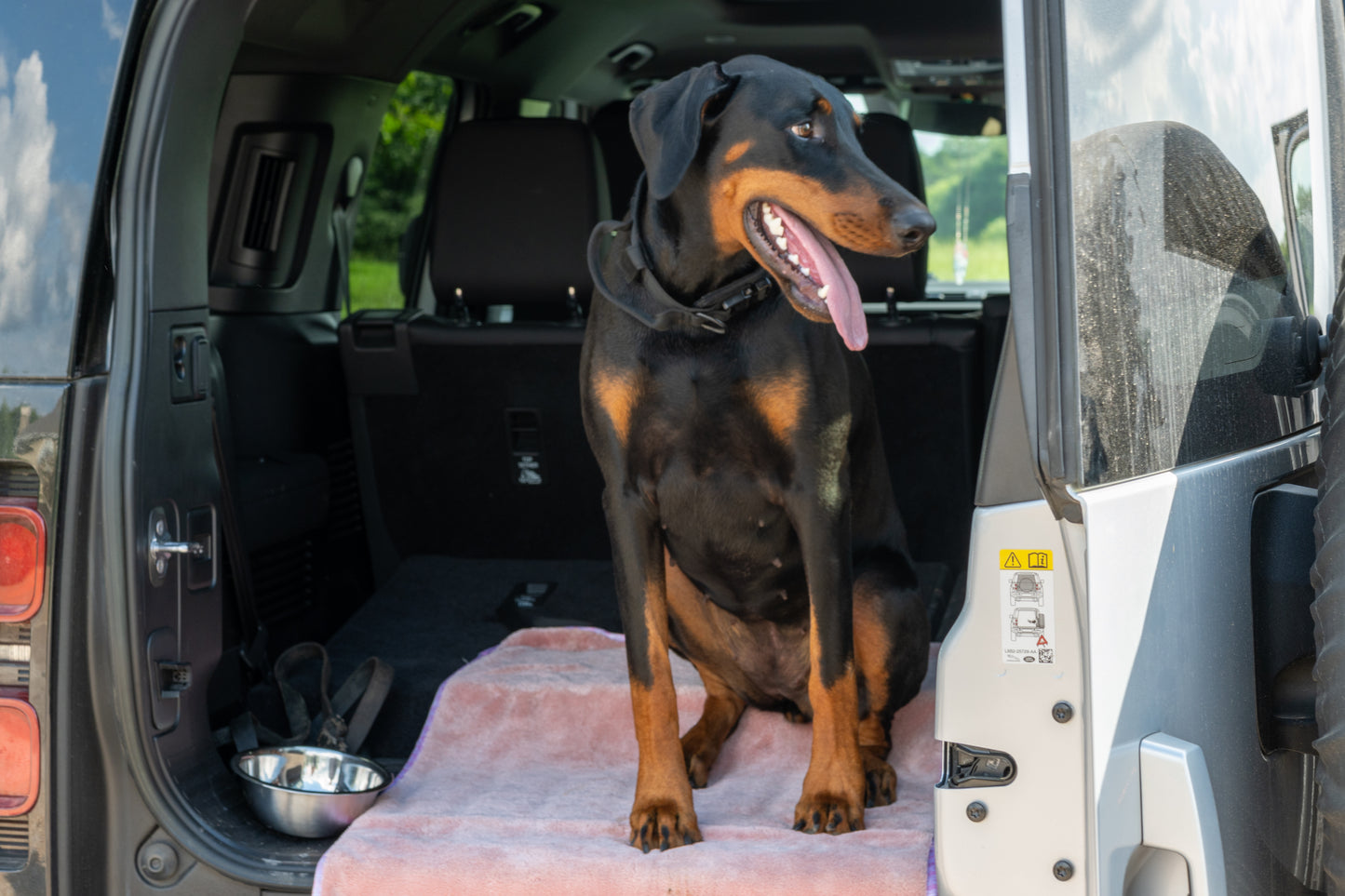 24" x 35" Pink Devil Dog Premium Pet Drying Towel